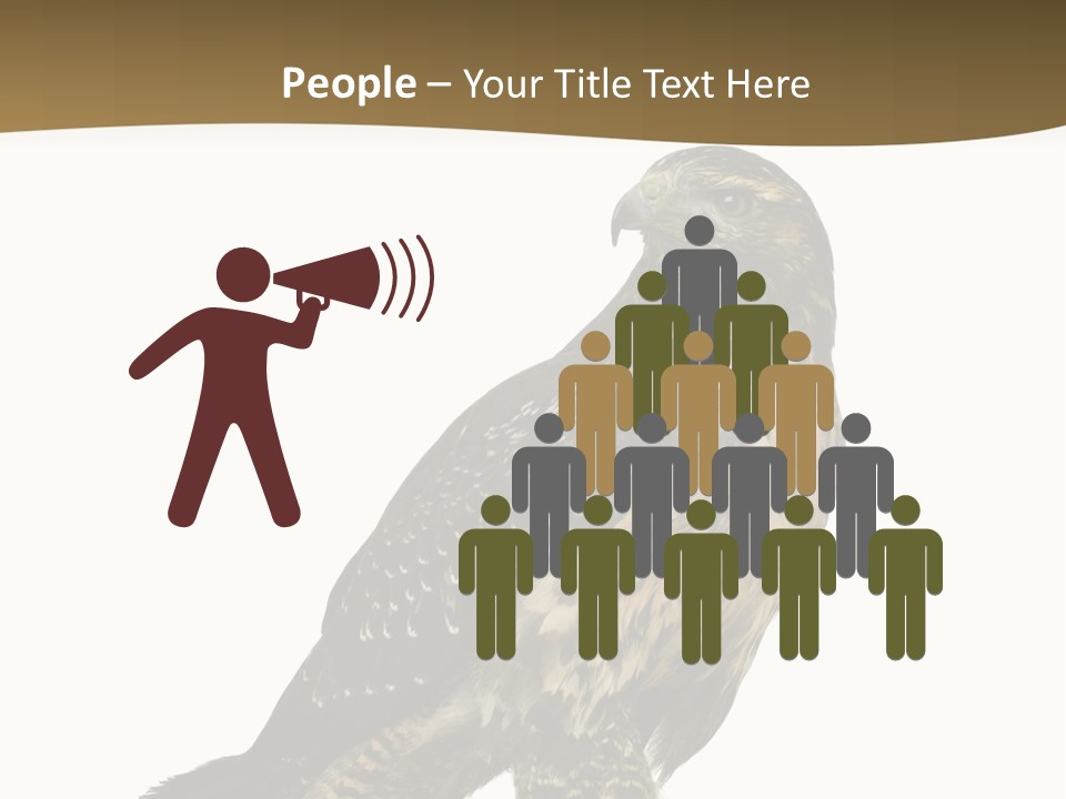 Hawk Isolated Nature PowerPoint Template