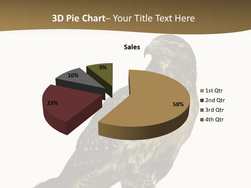 Hawk Isolated Nature PowerPoint Template