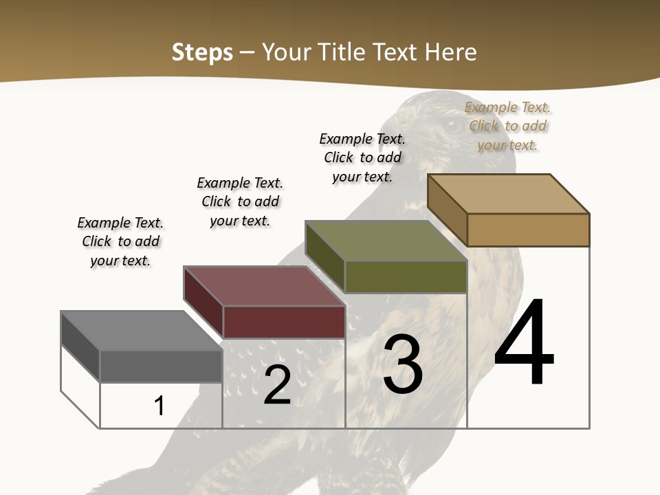 Hawk Isolated Nature PowerPoint Template