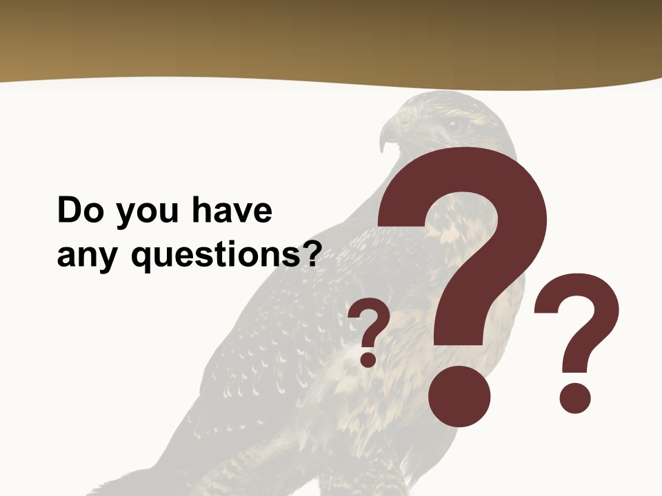 Hawk Isolated Nature PowerPoint Template