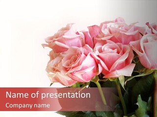 Bloom Blossom Valentine PowerPoint Template