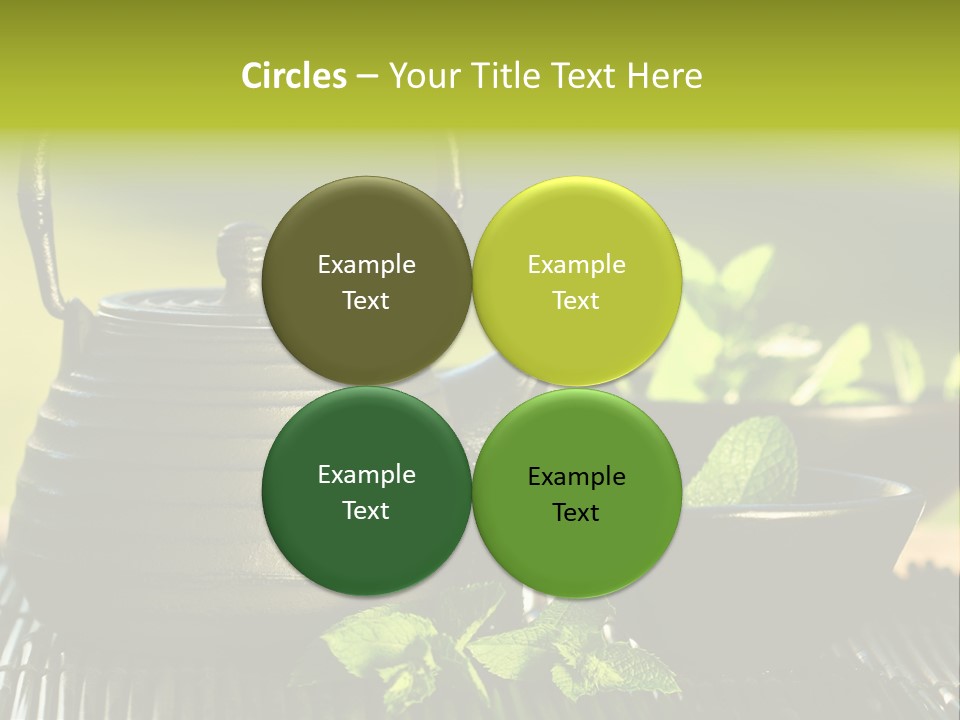 Saucer Asian Medicine PowerPoint Template