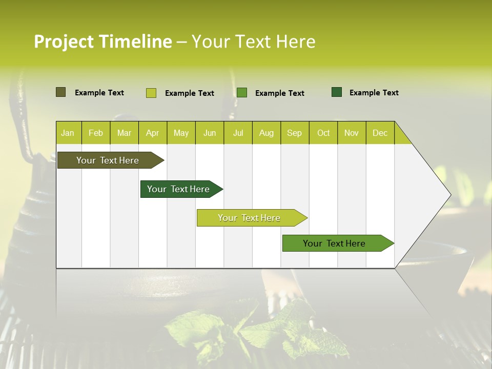 Saucer Asian Medicine PowerPoint Template