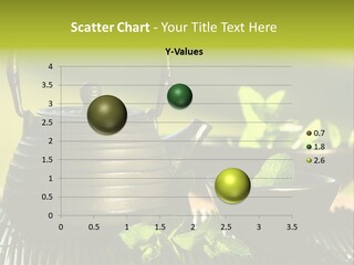 Saucer Asian Medicine PowerPoint Template