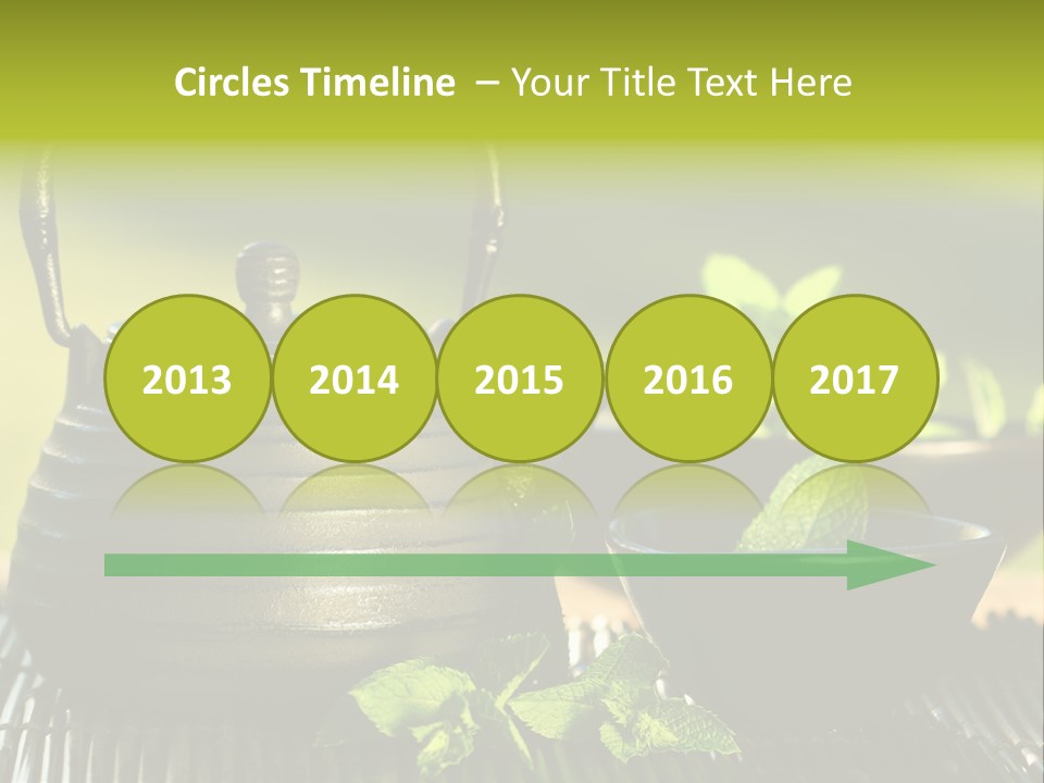 Saucer Asian Medicine PowerPoint Template