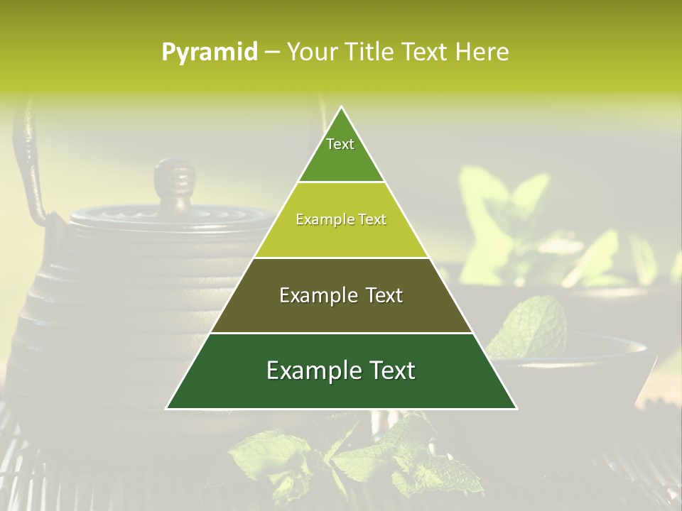 Saucer Asian Medicine PowerPoint Template