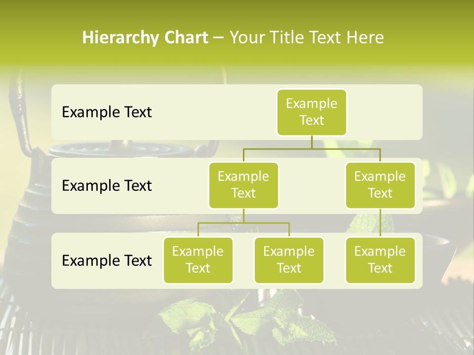 Saucer Asian Medicine PowerPoint Template