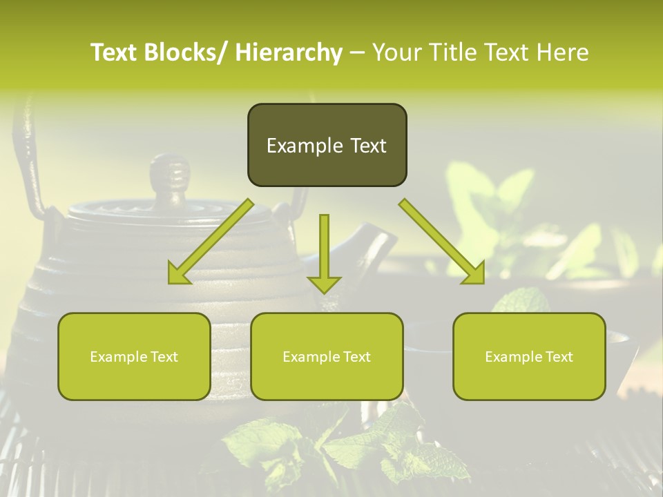 Saucer Asian Medicine PowerPoint Template