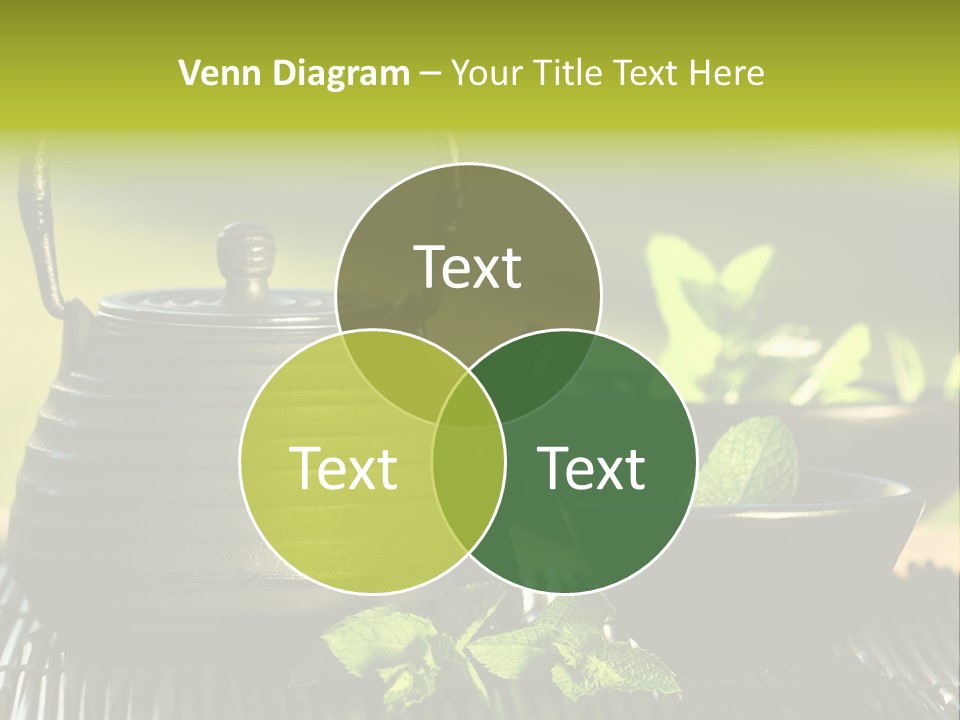 Saucer Asian Medicine PowerPoint Template