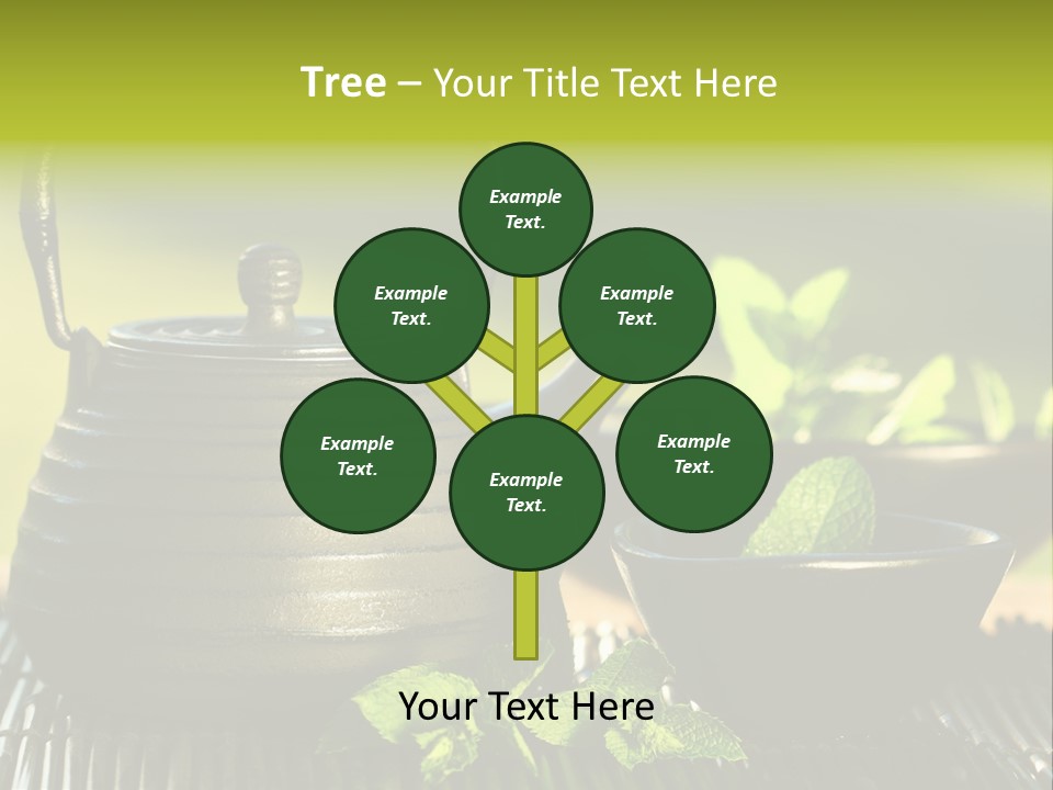 Saucer Asian Medicine PowerPoint Template