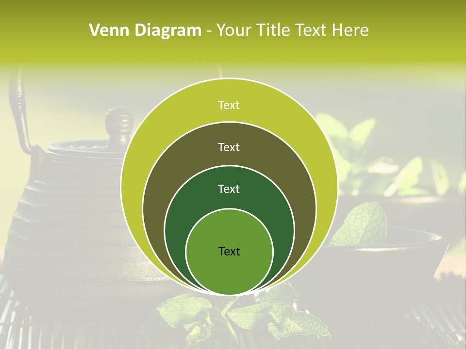 Saucer Asian Medicine PowerPoint Template