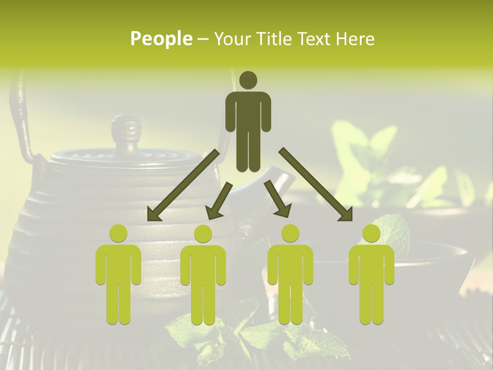 Saucer Asian Medicine PowerPoint Template