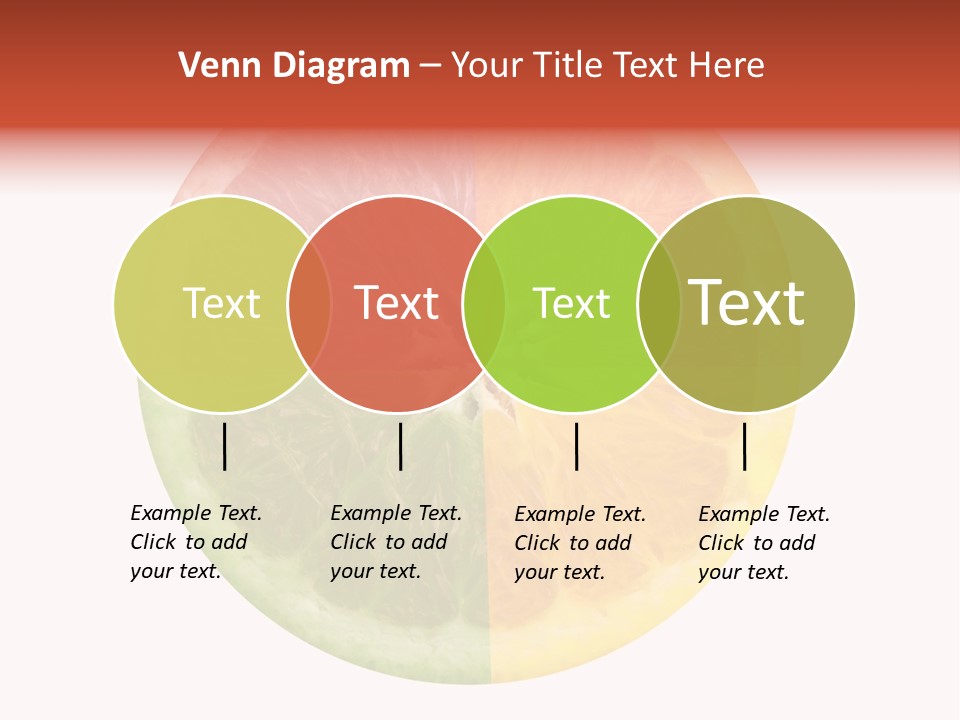 Florida Isolated Fruit PowerPoint Template