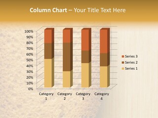 Closeup Macro Texture PowerPoint Template