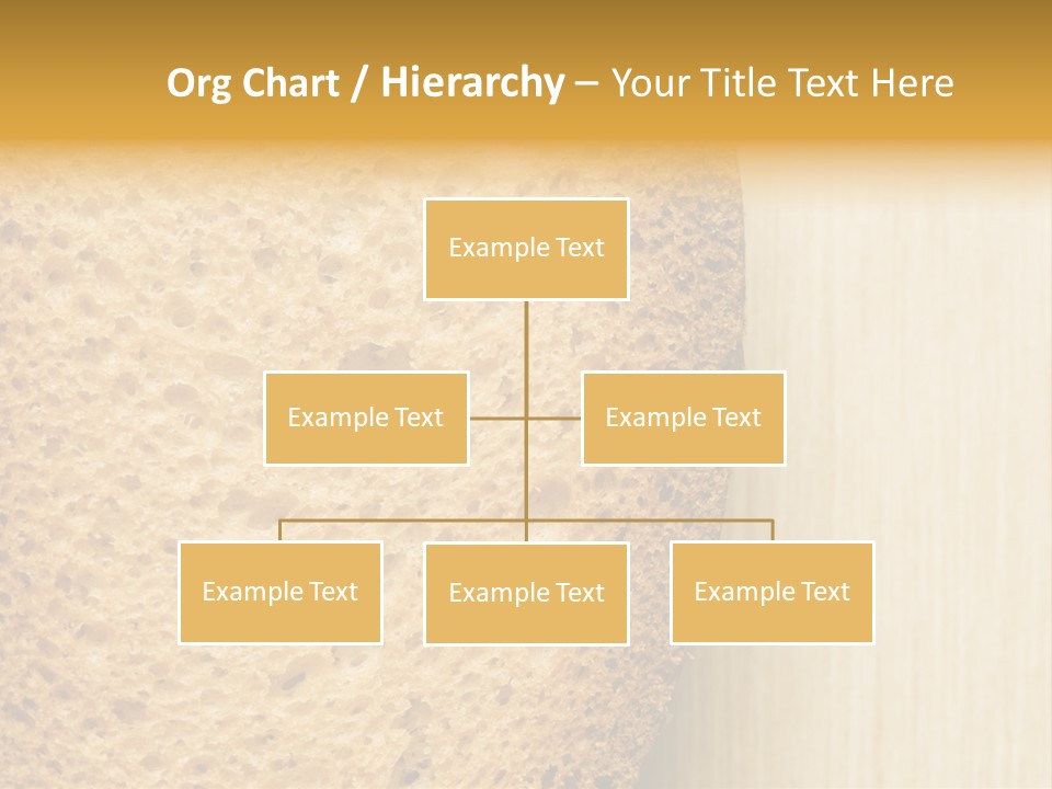 Closeup Macro Texture PowerPoint Template