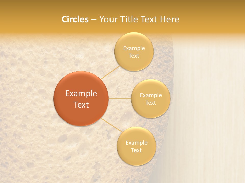 Closeup Macro Texture PowerPoint Template