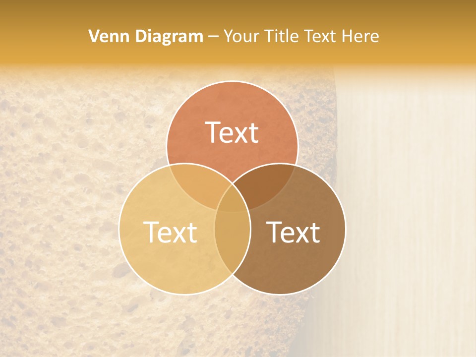 Closeup Macro Texture PowerPoint Template