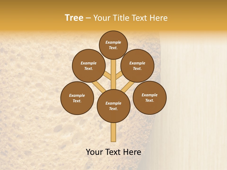 Closeup Macro Texture PowerPoint Template