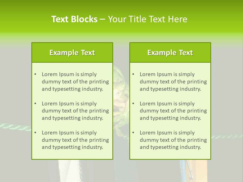 Sock Green Cloth PowerPoint Template