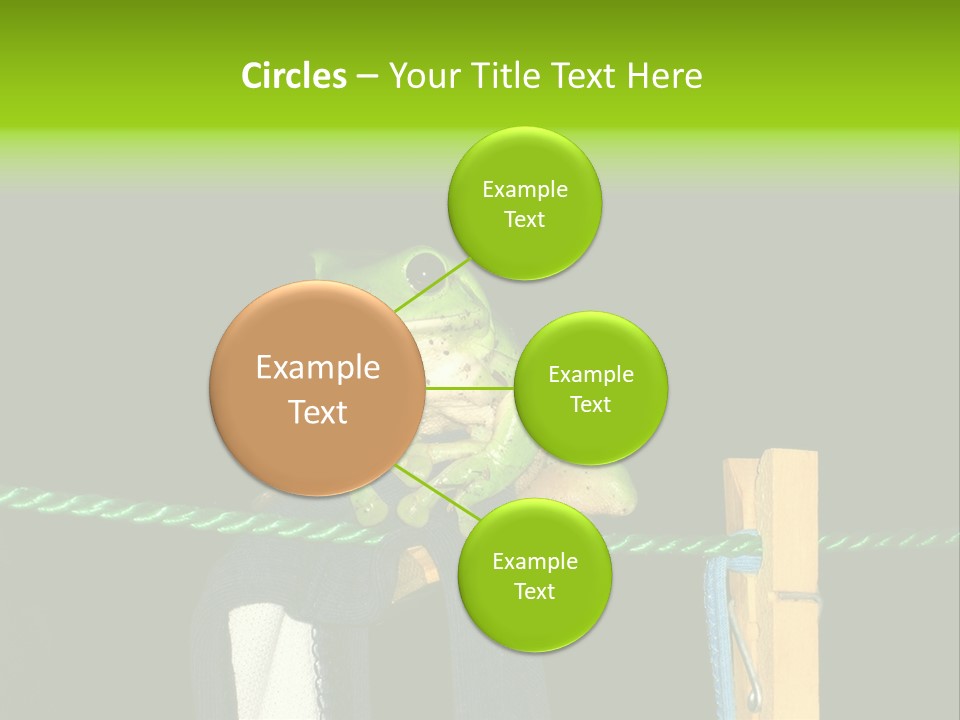 Sock Green Cloth PowerPoint Template