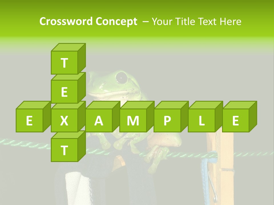 Sock Green Cloth PowerPoint Template