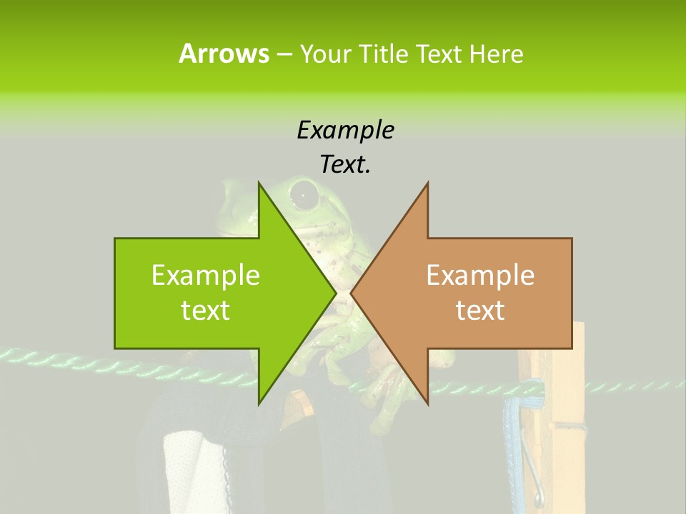 Sock Green Cloth PowerPoint Template