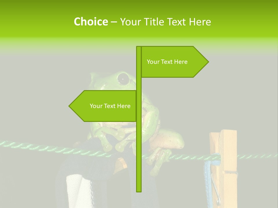 Sock Green Cloth PowerPoint Template