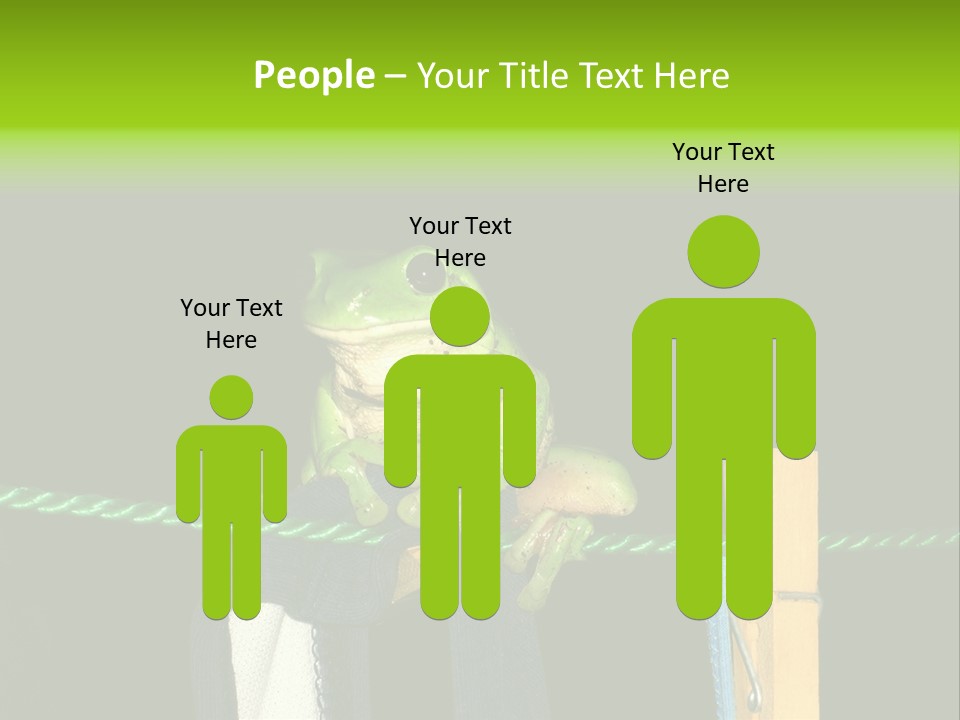 Sock Green Cloth PowerPoint Template