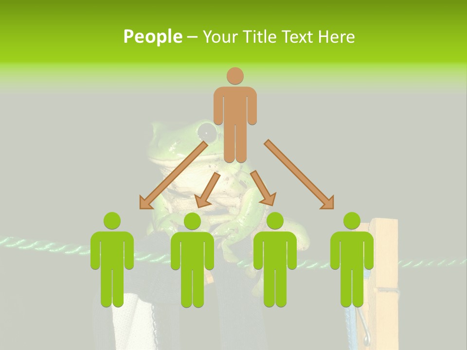 Sock Green Cloth PowerPoint Template