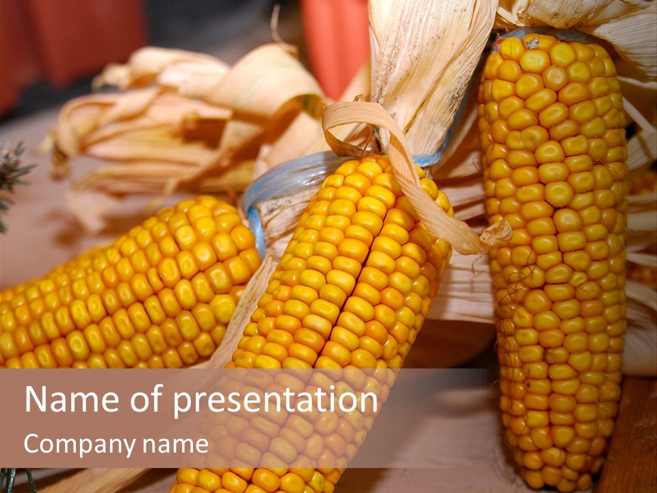 Cocktail Cob Maize PowerPoint Template