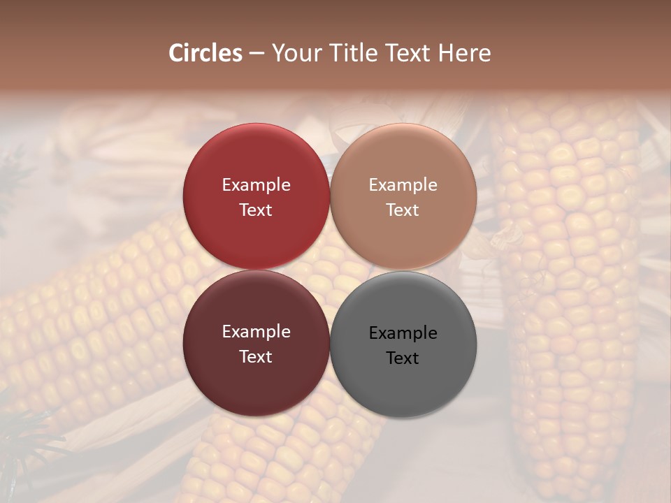 Cocktail Cob Maize PowerPoint Template