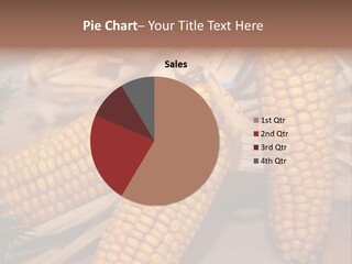 Cocktail Cob Maize PowerPoint Template