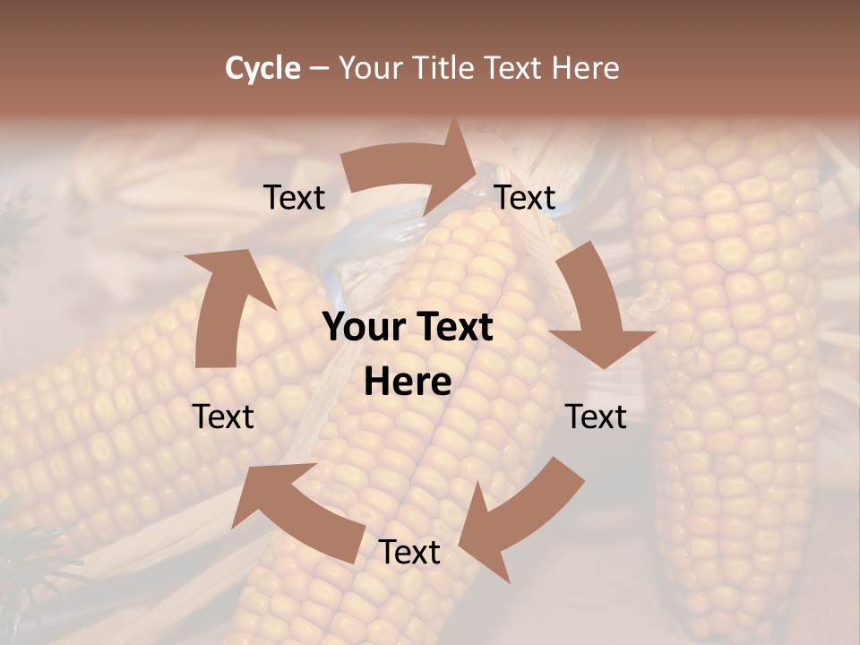 Cocktail Cob Maize PowerPoint Template