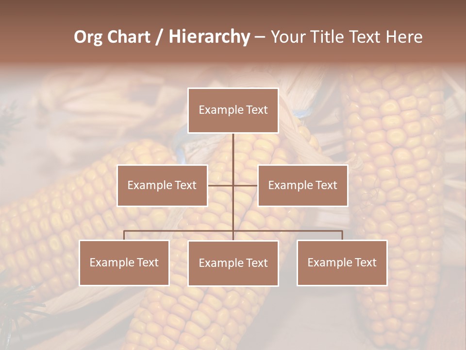 Cocktail Cob Maize PowerPoint Template