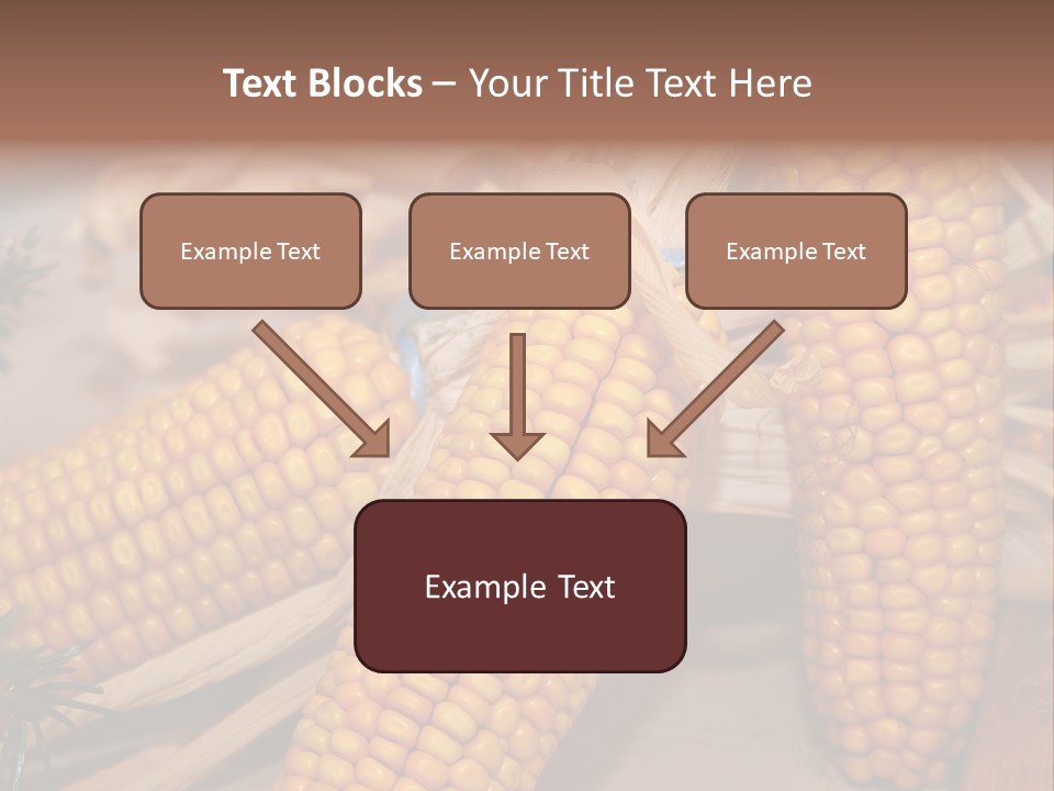 Cocktail Cob Maize PowerPoint Template