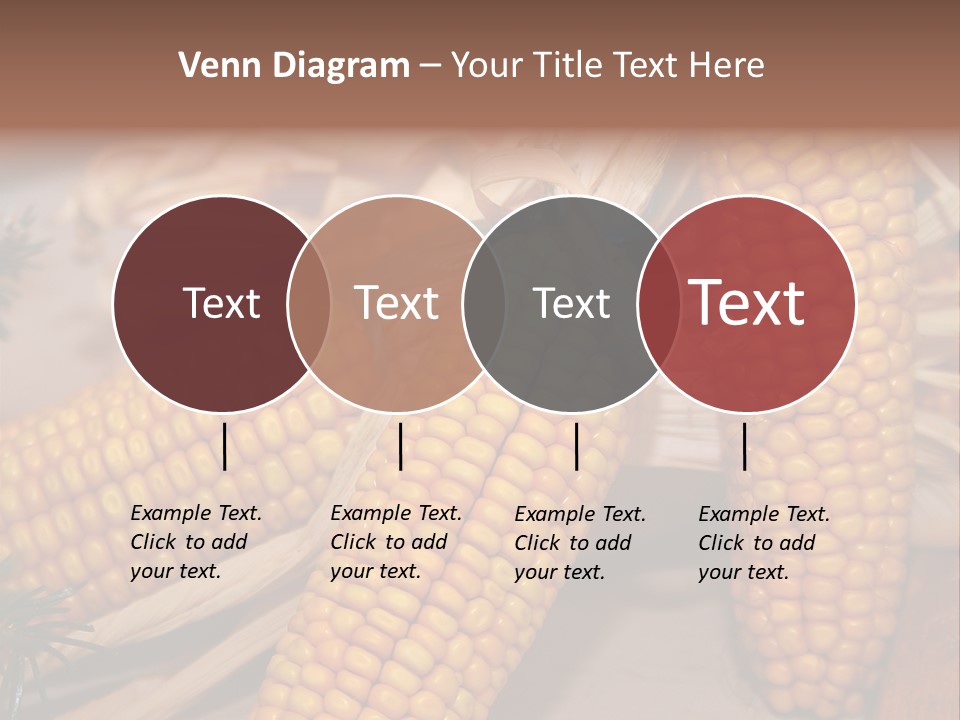 Cocktail Cob Maize PowerPoint Template