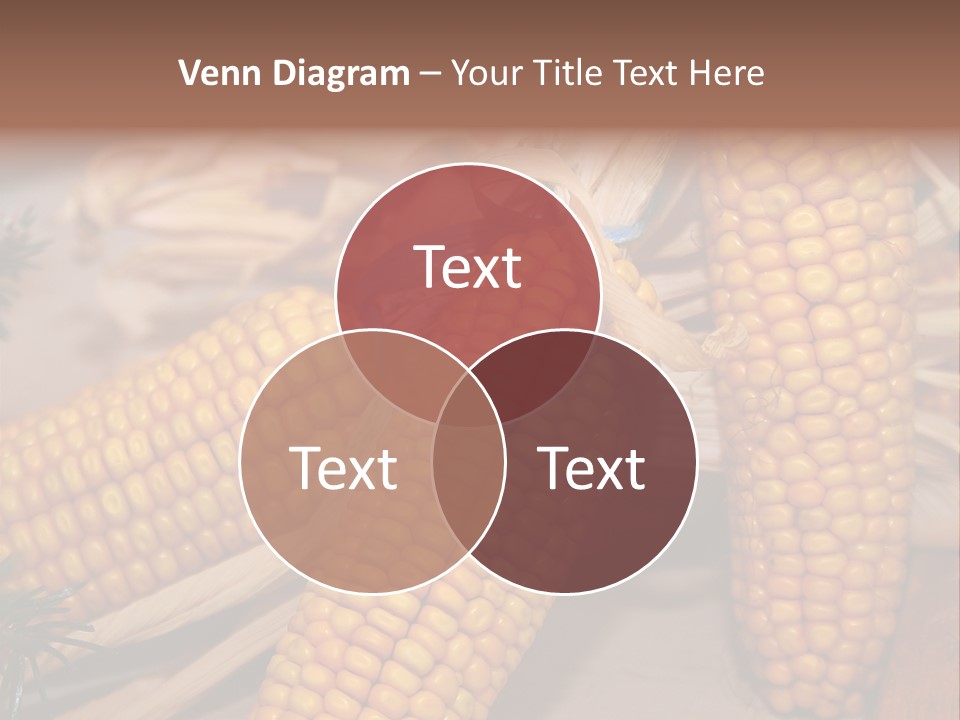 Cocktail Cob Maize PowerPoint Template