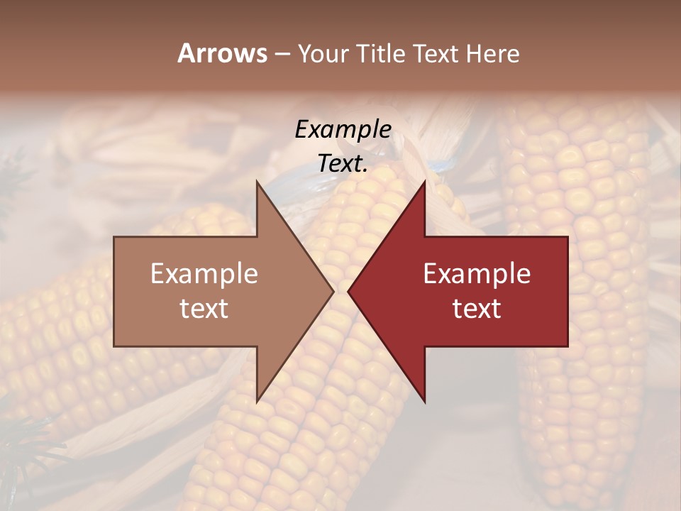 Cocktail Cob Maize PowerPoint Template