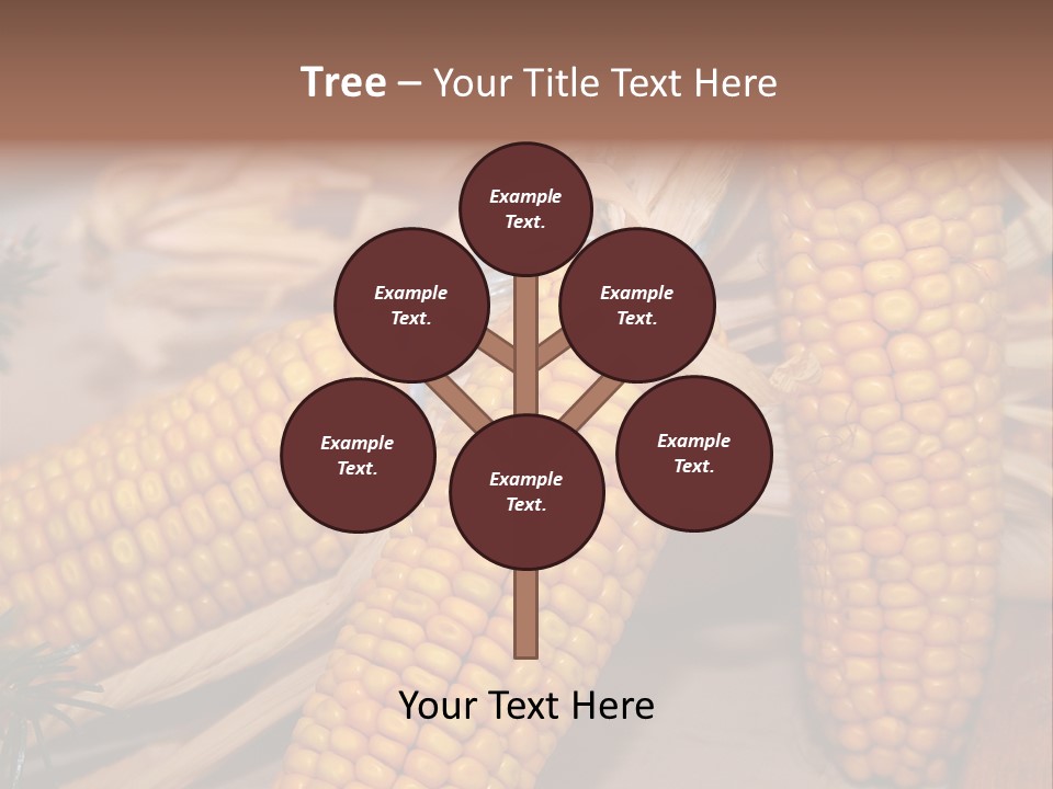 Cocktail Cob Maize PowerPoint Template