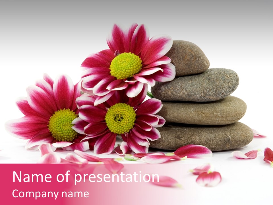 Mineral Water Alternative PowerPoint Template