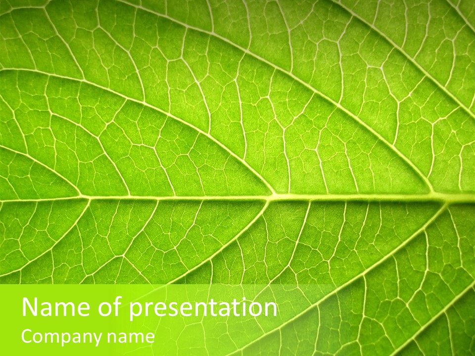 Horticulture Natural Wood PowerPoint Template
