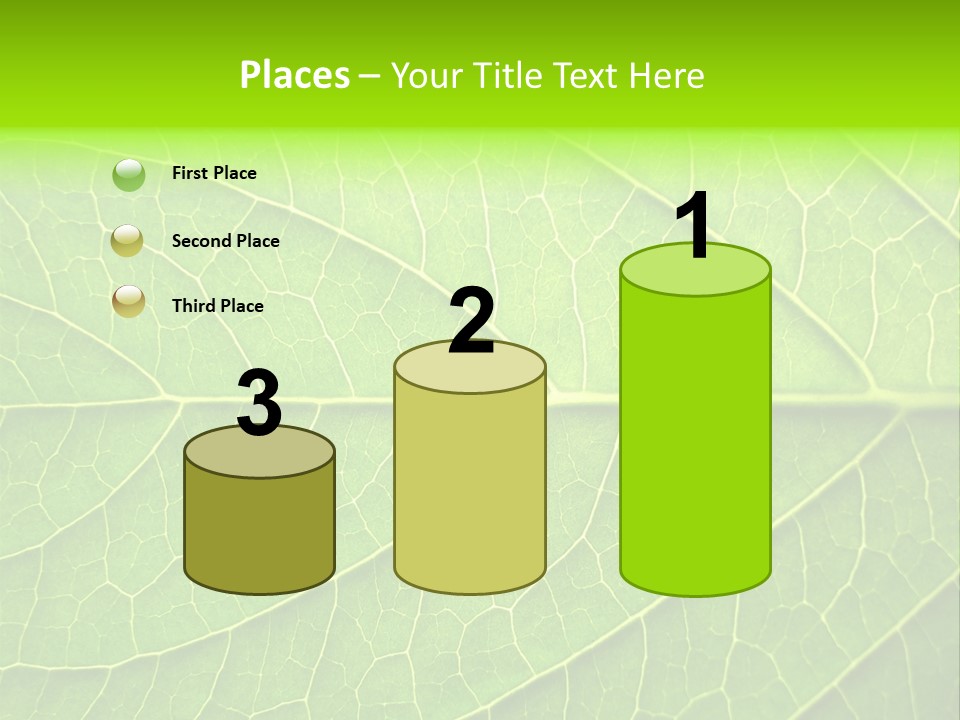 Horticulture Natural Wood PowerPoint Template