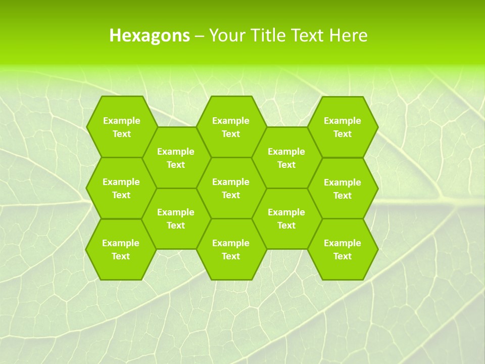 Horticulture Natural Wood PowerPoint Template