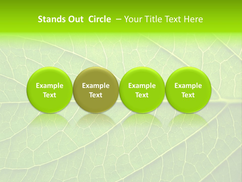 Horticulture Natural Wood PowerPoint Template