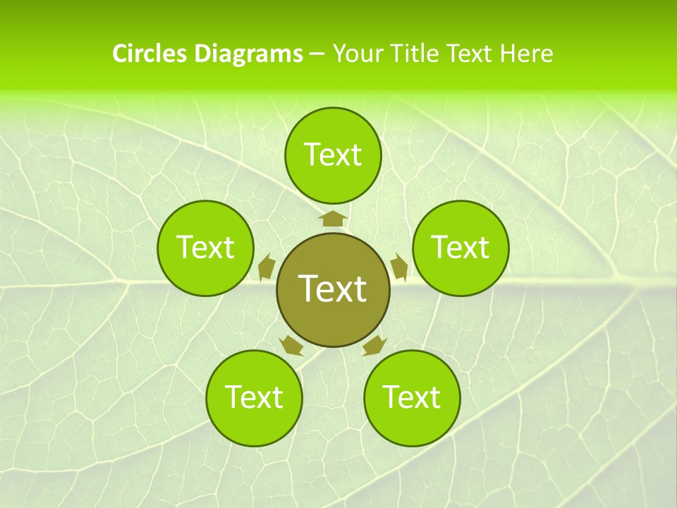 Horticulture Natural Wood PowerPoint Template