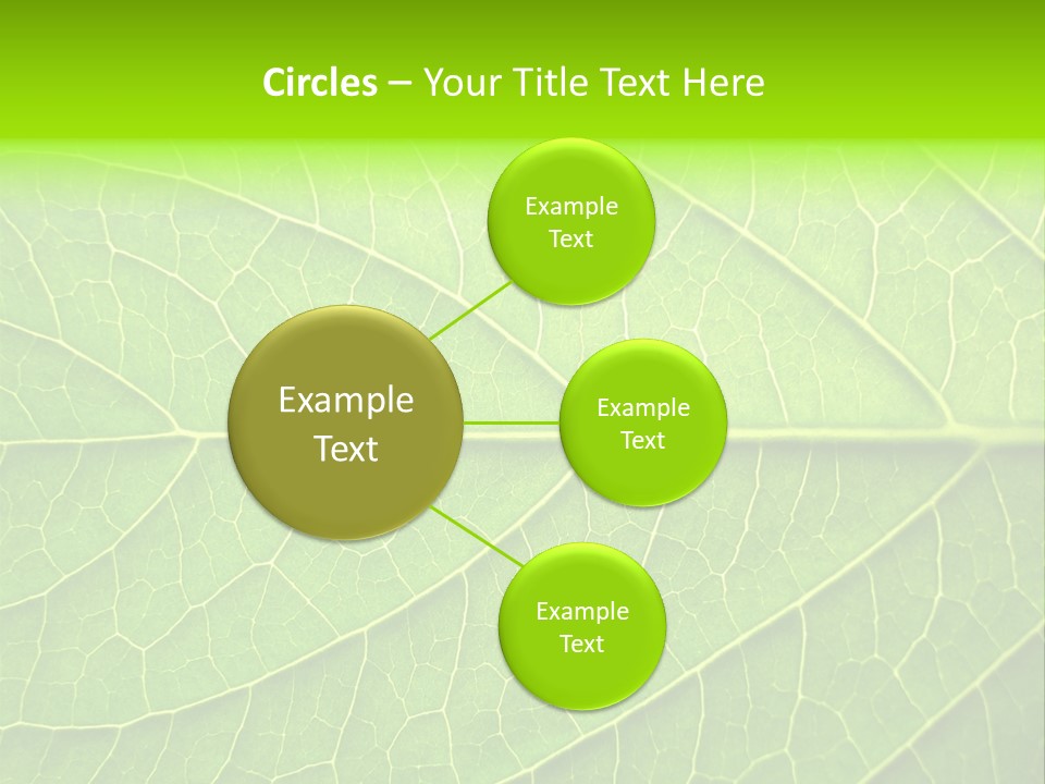 Horticulture Natural Wood PowerPoint Template