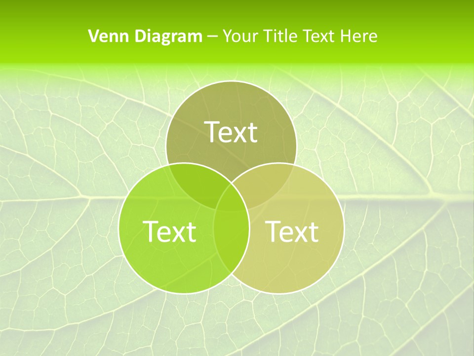 Horticulture Natural Wood PowerPoint Template