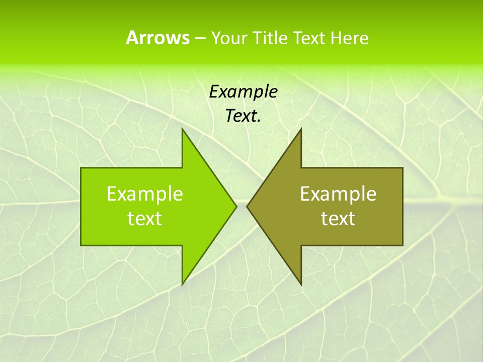 Horticulture Natural Wood PowerPoint Template