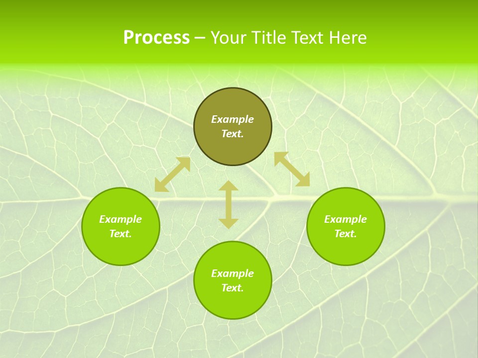 Horticulture Natural Wood PowerPoint Template