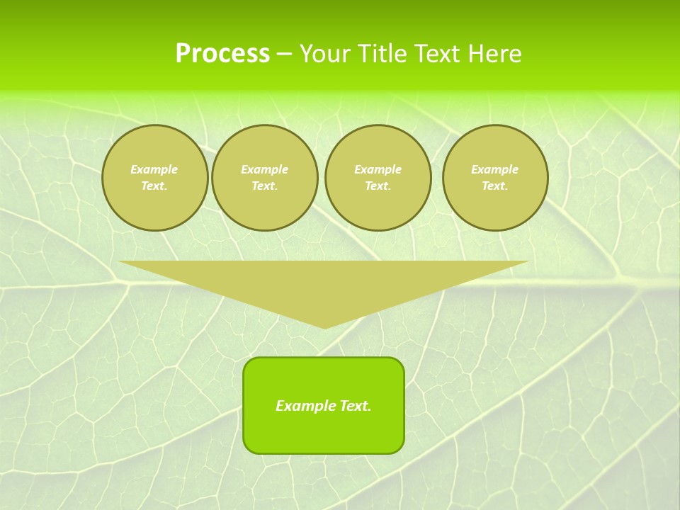 Horticulture Natural Wood PowerPoint Template